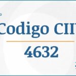 Código CIIU 4632 Actividades Económicas DIAN