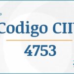 Código CIIU 4753 Actividades Económicas DIAN