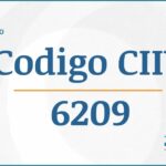 Código CIIU 6209 Actividades Económicas DIAN