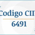 Código CIIU 6491 Actividades Económicas DIAN