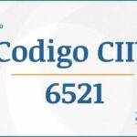 Código CIIU 6521 Actividades Económicas DIAN