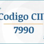 Código CIIU 7990 Actividades Económicas DIAN