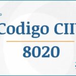 Código CIIU 8020 Actividades Económicas DIAN