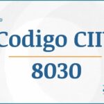Código CIIU 8030 Actividades Económicas DIAN