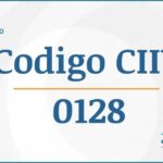 Código CIIU 0128 Actividades Económicas DIAN
