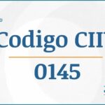 Código CIIU 0145 Actividades Económicas DIAN