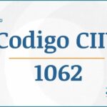 Código CIIU 1062 Actividades Económicas DIAN