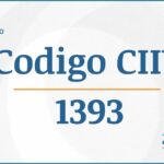 Código CIIU 1393 Actividades Económicas DIAN