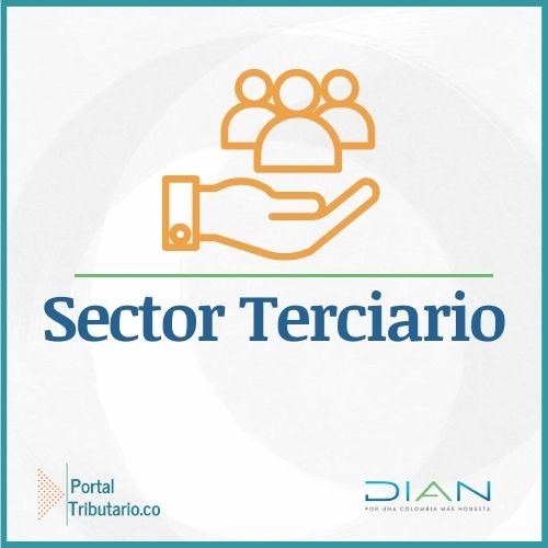 Sector-terciario-actividades-economicas