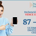 Declaración de renta 2023: HOY 10 octubre del 2023 DECLARAN 87 – 88 DE LA CEDULA (ultimos dos digitos)